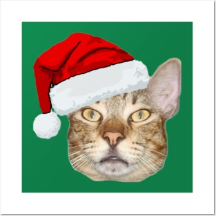 Cute Cat In Red Christmas Hat Posters and Art